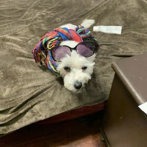 Meet your Posher, Karol